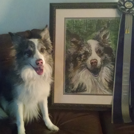 "Danny", owned by Lauralee McGuire, sitting next to the portrait and rosette he received for earning the highest honor in NAFA flyball - the Hobbes Award.